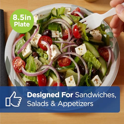 Dixie 8.5 Inch Medium-Weight Paper Plates By GP PRO, Pathways Design, 500 Count (125 Disposable Plates Per Pack, 4 Packs Per Case), UX9WS