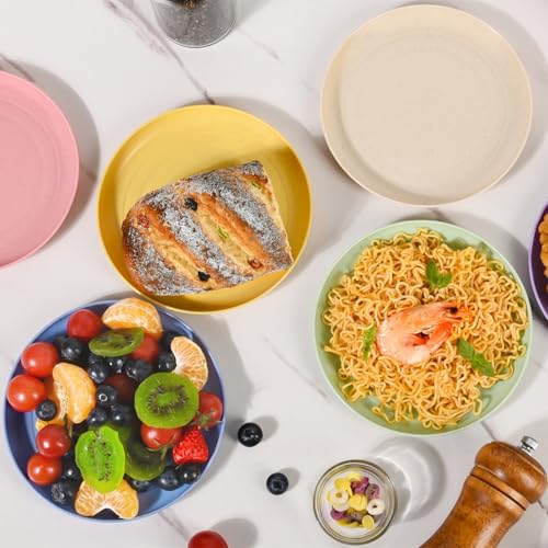 BGHEOUYV 6 Inch Wheat Straw Plates, 6 Pack Small Plates, Lightweight Unbreakable Plastic Dinner Plates for Adult Dinner Camping Salad Dessert