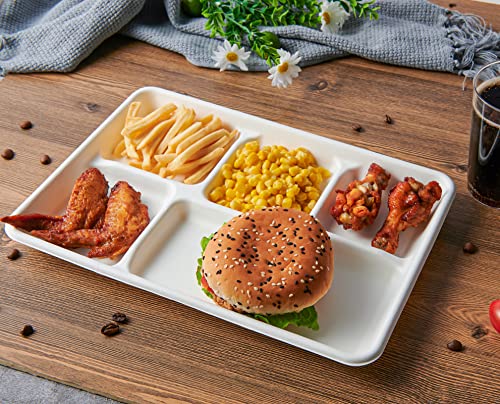 Vplus Compostable 5 Compartment Paper Plates, 100 Pack, 12.5 x 8.6 inch | Disposable School Lunch Trays, Eco-Friendly Bagasse Plates, Perfect for Buffet, and Party