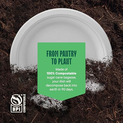 100% Compostable Paper Plates, Heavy Duty Disposable Plates [125-Pack] 9 Inch Plates - Eco-Friendly, Biodegradable Sugarcane Bagasse, Natural White 9" Sturdy Dinner Paper Plate Disposable