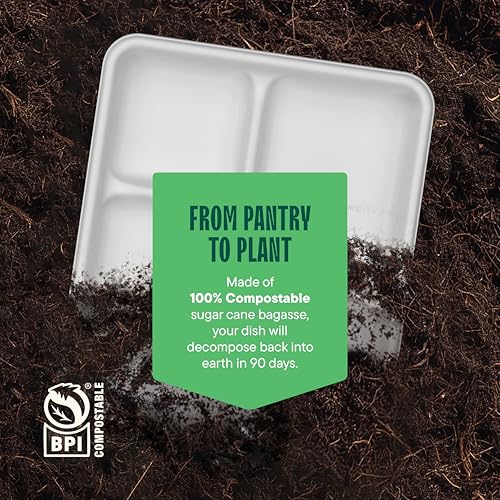 100% Compostable 5-Compartment Tray [125-Pack] Heavy Duty Bagasse Plates | Eco-Friendly Biodegradable School Lunch Tray Made of Sugar Cane Fibers, PFAS-Free & BPI Certified White Divided Platter