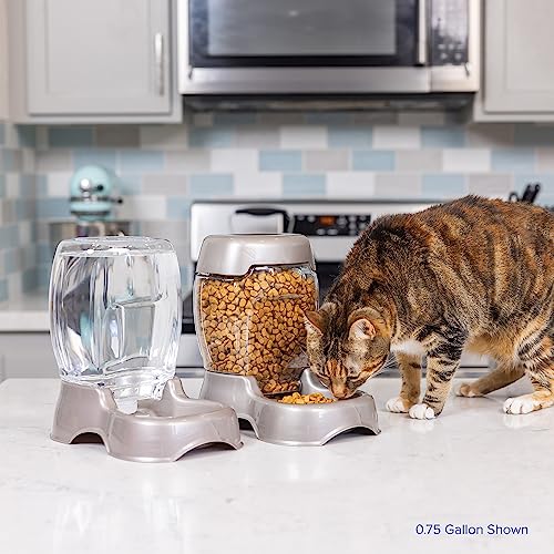 Petmate Pet Cafe Water Dispenser, XS, 0.25 GAL, Pearl Ash Blue, 7.3in | USA Made Gravity Waterer with Easy Grab Base for Cats and Dogs