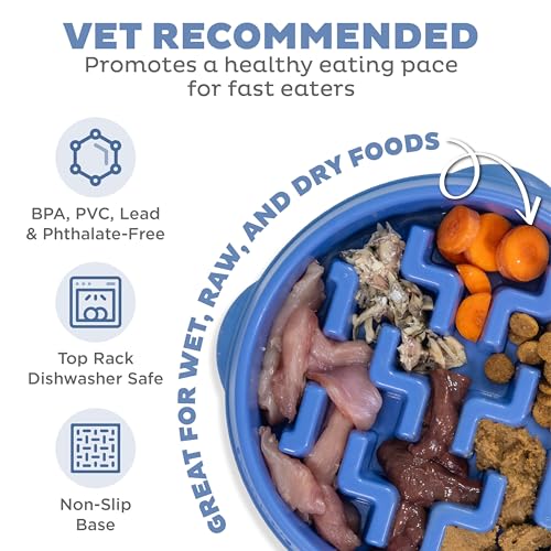 Outward Hound Fun Feeder Slo Bowl – Medium 2‑Cup Capacity, Slow Feeding, Small to Medium Dogs & Cats, Non-Slip, Blue, Notch Pattern
