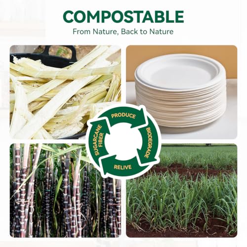 JOLLY CHEF Dessert Plates 6 Inch Paper Plates Compostable White 200 Pack | Disposable Heavy Duty for Cake, Snacks, Everyday Meals & Parties, Biodegradable Sugarcane