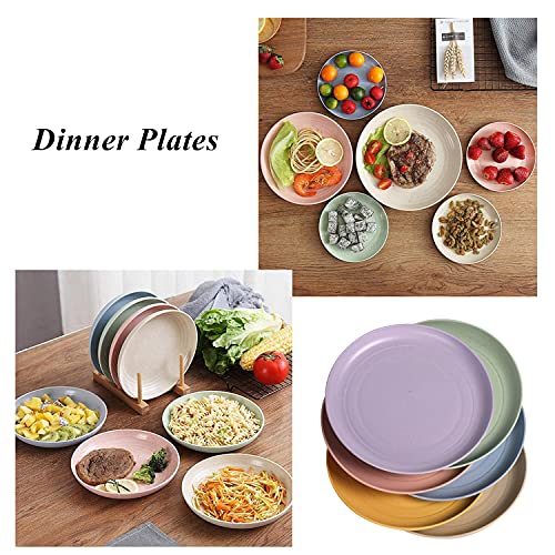 CAMBUY Wheat Straw Plates 6 Pack 5.9 Inch Small Appetizer Plate Set | Unbreakable Lightweight Reusable Dishwasher & Microwave Safe Daily Use Dinner Dishes for Kitchen Outdoor Camping
