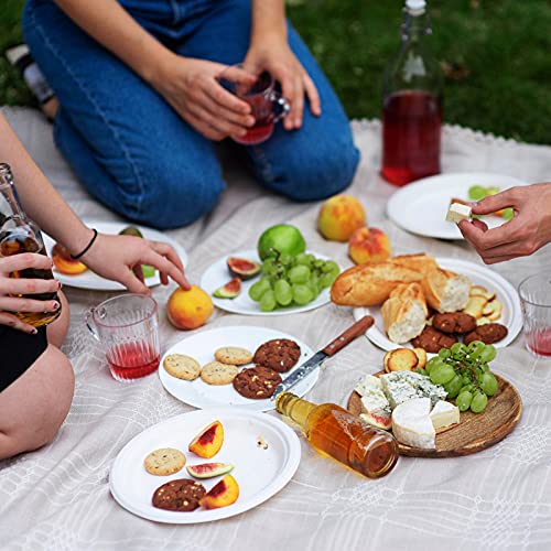 Vplus 150 Pack Compostable Bagasse Paper Plates 10.25 inch, White | Super Strong Paper Plates, 100% Bagasse, Natural Biodegradable, for Dinner, Gathering, and Picnic