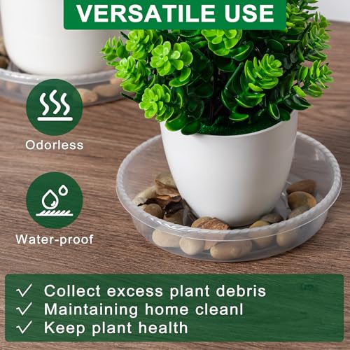 Plant Saucer Tray, 6 Pack 8 Inch Plastic Plant Saucers for Indoor Outdoor | Heavy Duty Clear Flower Pot Tray for pots Planter, Flower Plant Water Trays Plant Pot Saucers Drip Tray for Potted Plant