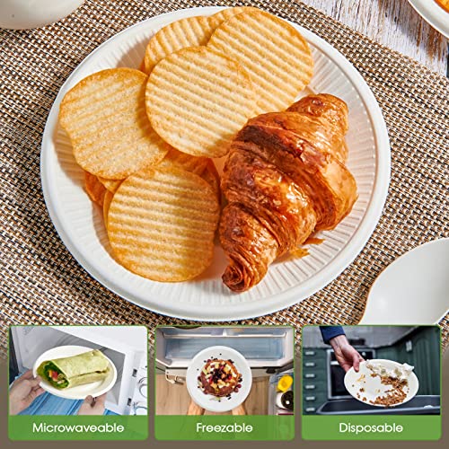 Vplus 100% Compostable Small Paper Plates, 300 Pack 6 Inch, Uncoated | Biodegradable, Made of Sugar Cane Fibers, Perfect for Sandwich, Cake, and Snack