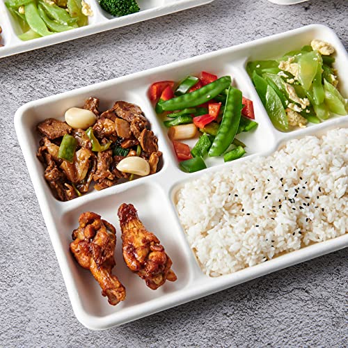 Vplus Compostable 5 Compartment Paper Plates, 100 Pack, 12.5 x 8.6 inch | Disposable School Lunch Trays, Eco-Friendly Bagasse Plates, Perfect for Buffet, and Party