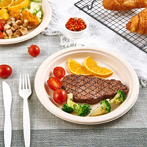 Vplus 150 Pack Compostable Bagasse Paper Plates 9 inch, Nature | Super Strong Paper Plates, 100% Bagasse, Natural Biodegradable, Perfect for Dinner, Gathering, and Picnic