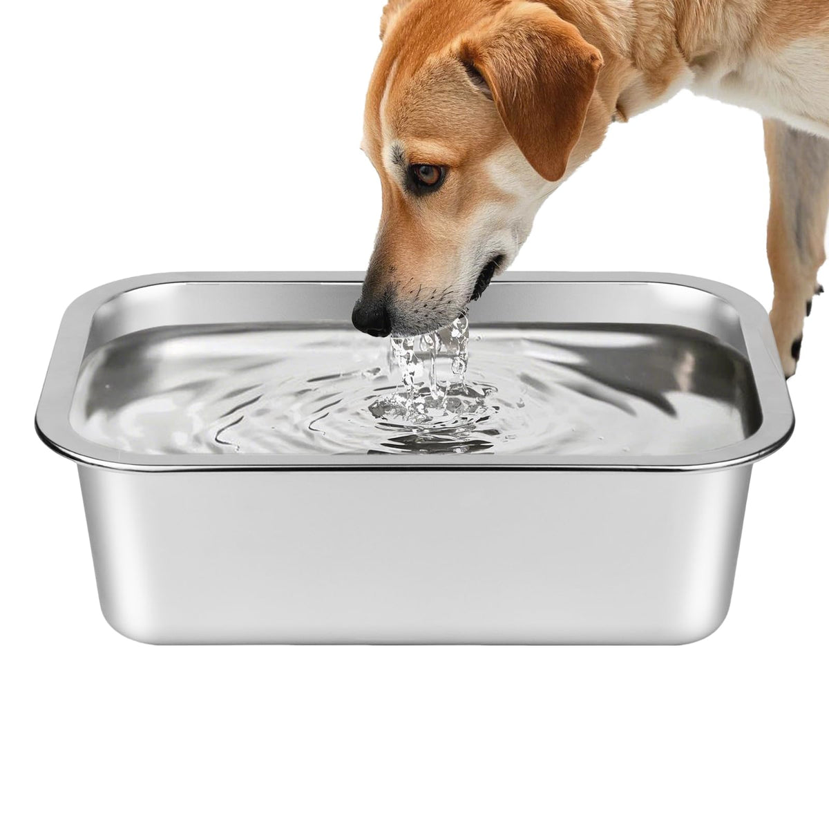 Ohtomber 1.25 Gallons Stainless Steel Dog Bowl, Big Pet Water & Food Bowl | No Spilling, Outdoor Feeder Dish Plate, For Indoor & Outdoor Feeding, Fits Big & Extra Large Dogs, Cats & All Pets