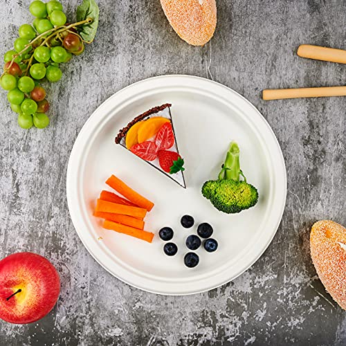 Vplus 150 Pack Compostable Bagasse Paper Plates 10.25 inch, White | Super Strong Paper Plates, 100% Bagasse, Natural Biodegradable, for Dinner, Gathering, and Picnic