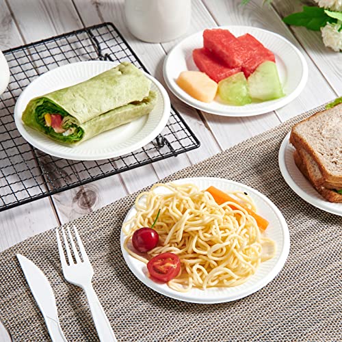 Vplus 100% Compostable Small Paper Plates, 300 Pack 6 Inch, Uncoated | Biodegradable, Made of Sugar Cane Fibers, Perfect for Sandwich, Cake, and Snack