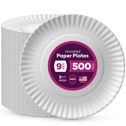 500 Uncoated Paper Plates 9 Inch, Everyday Disposable White Dinner Plates | for Parties, BBQ, Picnic Party, Travel and Events, Microwavable Recyclable